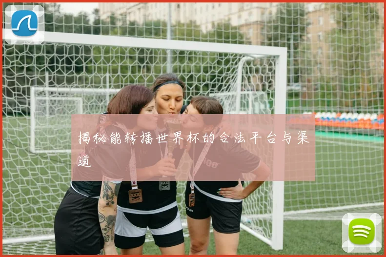 揭秘能转播世界杯的合法平台与渠道