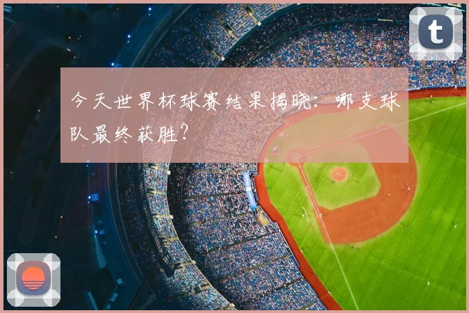 今天世界杯球赛结果揭晓：哪支球队最终获胜？