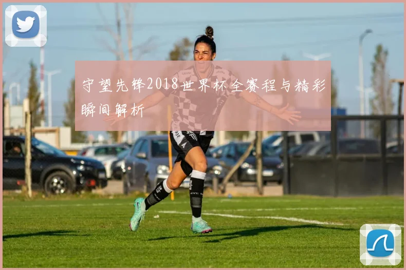 守望先锋2018世界杯全赛程与精彩瞬间解析