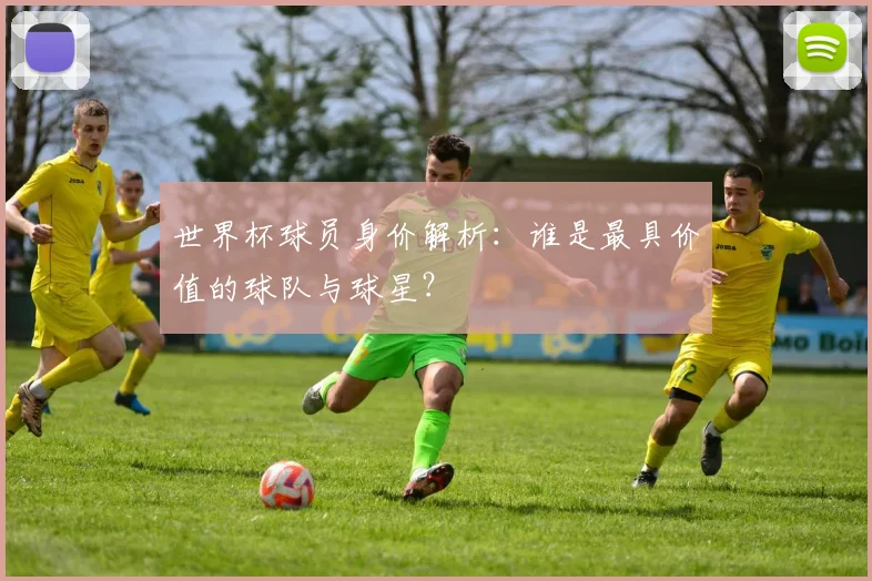 世界杯球员身价解析:谁是最具价值的球队与球星?