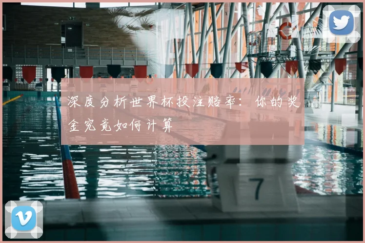 深度分析世界杯投注赔率：你的奖金究竟如何计算