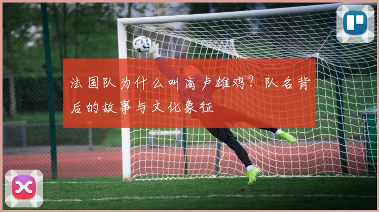 法国队为什么叫高卢雄鸡？队名背后的故事与文化象征