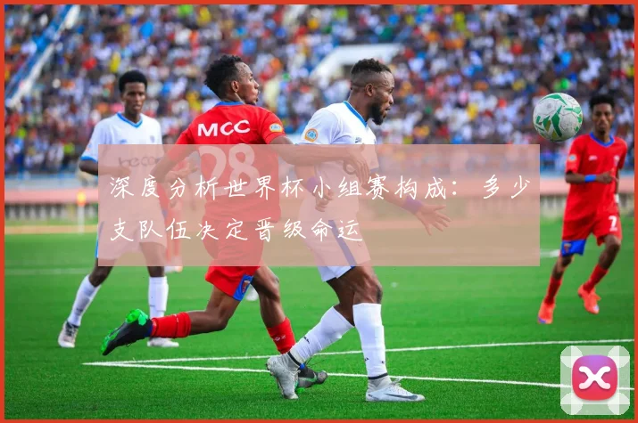 深度分析世界杯小组赛构成：多少支队伍决定晋级命运