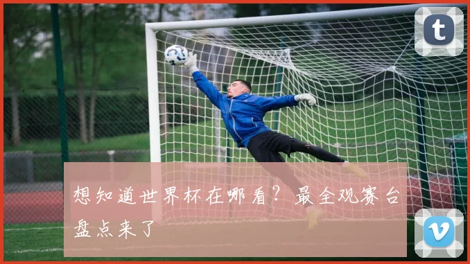 想知道世界杯在哪看?最全观赛台盘点来了