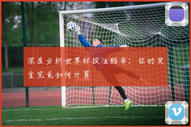 深度分析世界杯投注赔率：你的奖金究竟如何计算