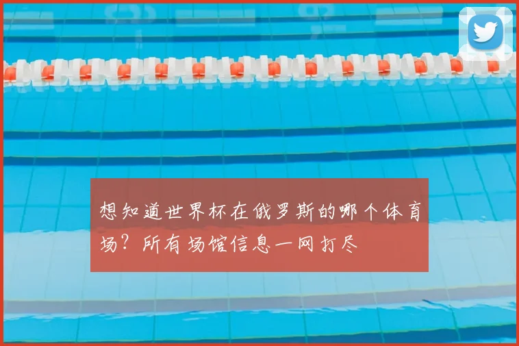 想知道世界杯在俄罗斯的哪个体育场?所有场馆信息一网打尽